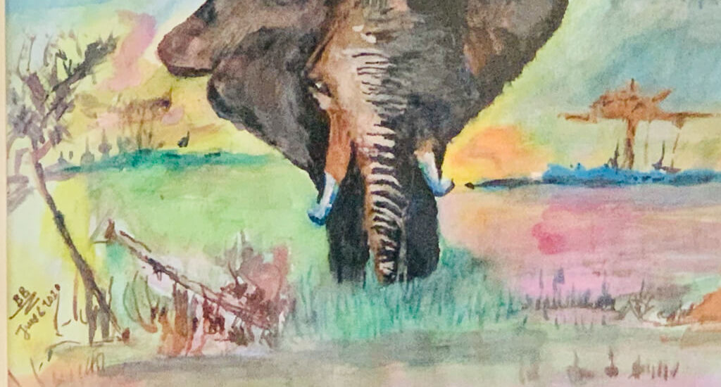 Elephant