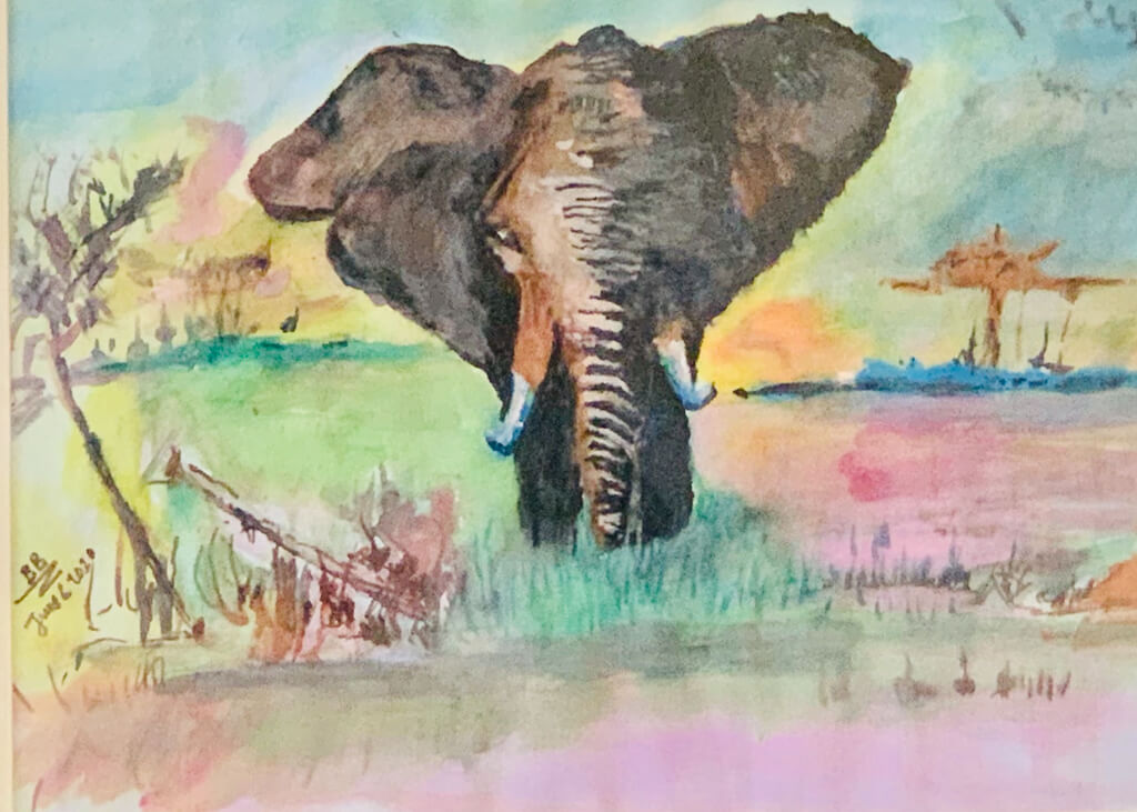 Elephant